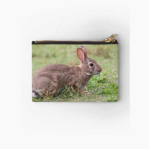 Item preview, Eastern cottontail rabbit designed and sold by Linda Crockett.