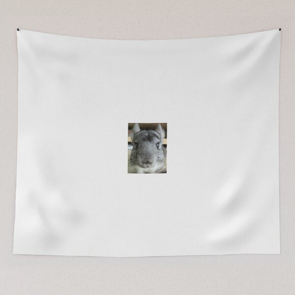 Item preview, CHINCHILLA RODENT MUSIC  designed and sold by Grahamc77.