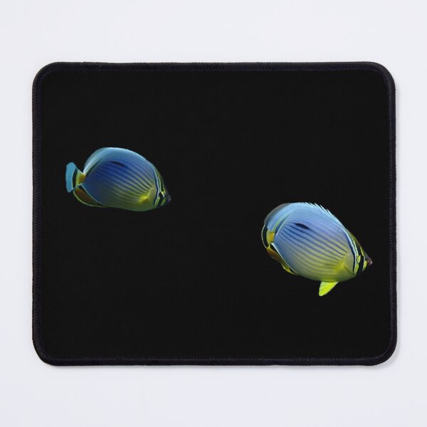 Item preview, Melon Butterflyfish designed and sold by Marine Wonders.