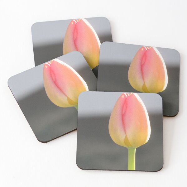 Item preview, close up of pink tulip flower designed and sold by beaglybeagle.