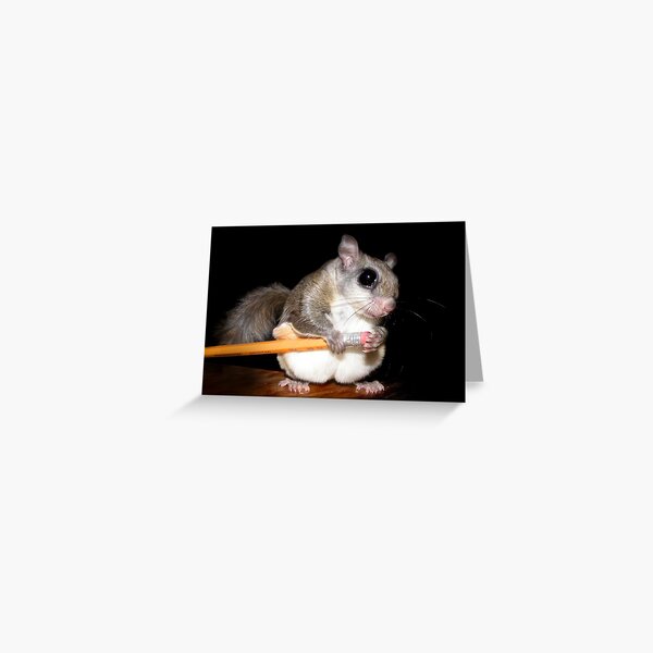 I'm Going to Write my Autobiography Greeting Card