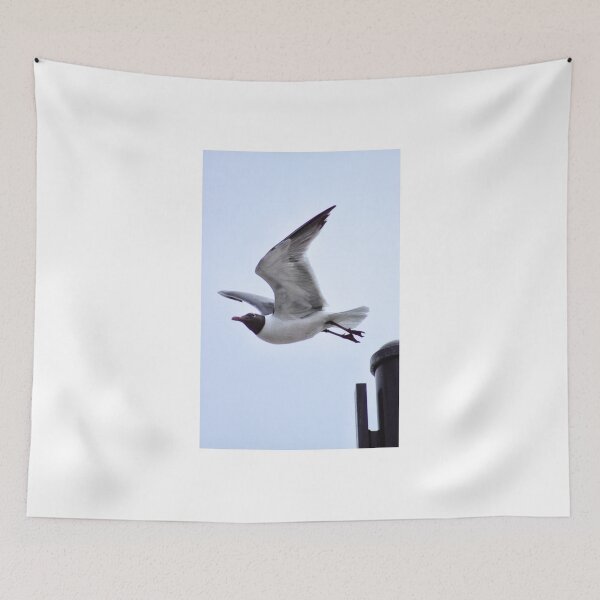 Item preview, Seagull in Flight designed and sold by Amanda Vontobel Photography/Random Fandom Stuff.