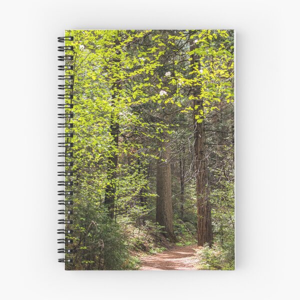 Item preview, Forest Trail in Yosemite designed and sold by SusanEileenEvans.