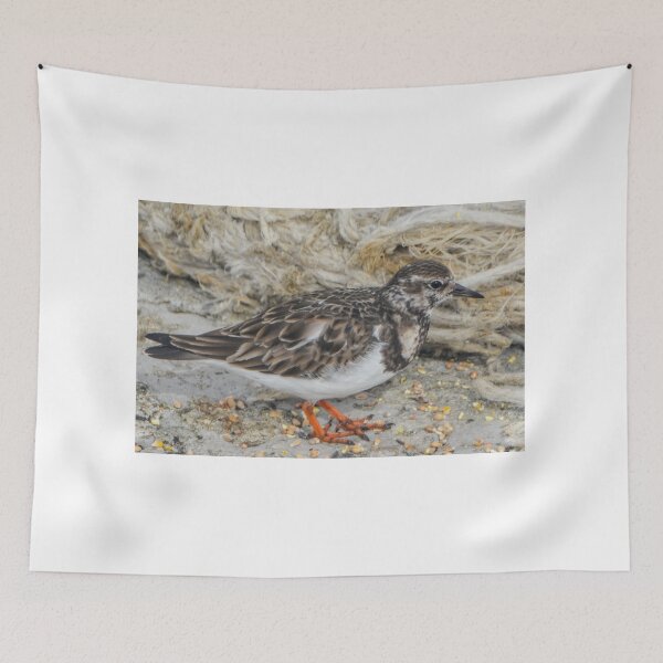Item preview, Turnstone Bird at Lyme Regis Harbour.... Dorset UK designed and sold by lynn carter.