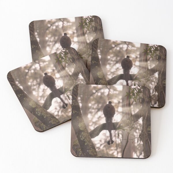 Item preview, Lyrebird, Dandenong Ranges National Park designed and sold by Steven  Sandner.