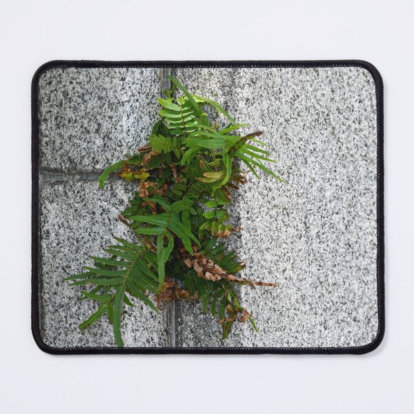 Item preview, Cornered designed and sold by okomedesign.