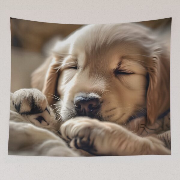 Item preview, "Sleepy Boy"  designed and sold by Dan Farsaci.