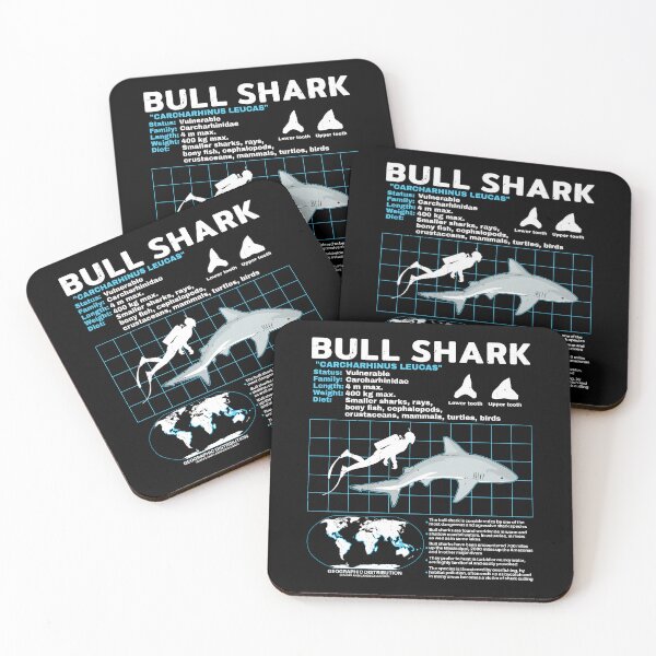 Item preview, Bull shark fact sheet designed and sold by NicGrayGraphic.