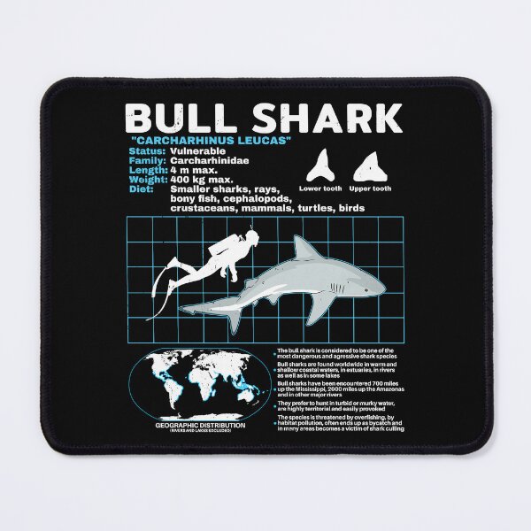 Item preview, Bull shark fact sheet designed and sold by NicGrayGraphic.