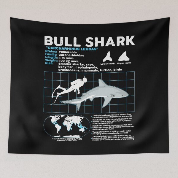 Item preview, Bull shark fact sheet designed and sold by NicGrayGraphic.