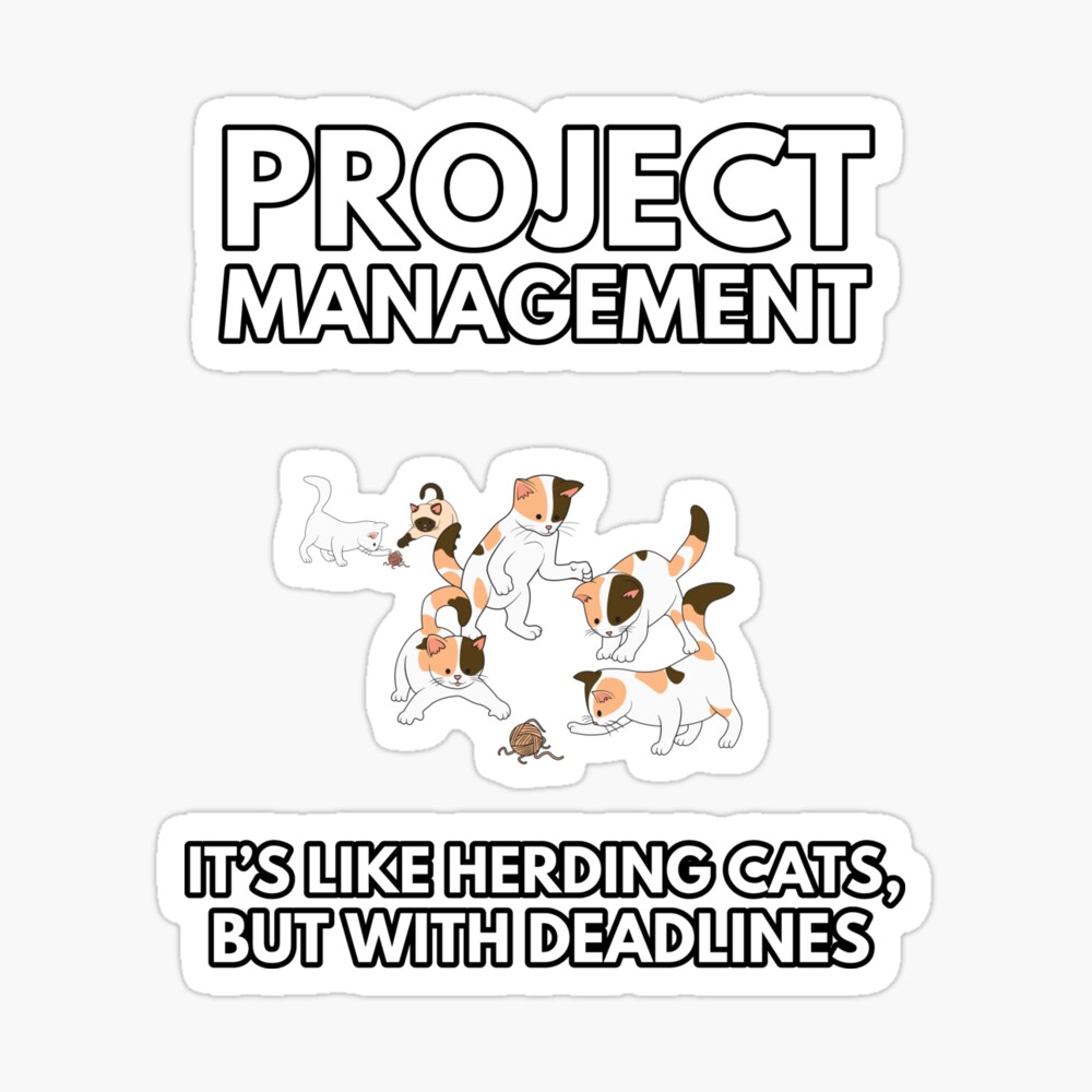 Herding Cats – Some Thoughts from a Project Manager