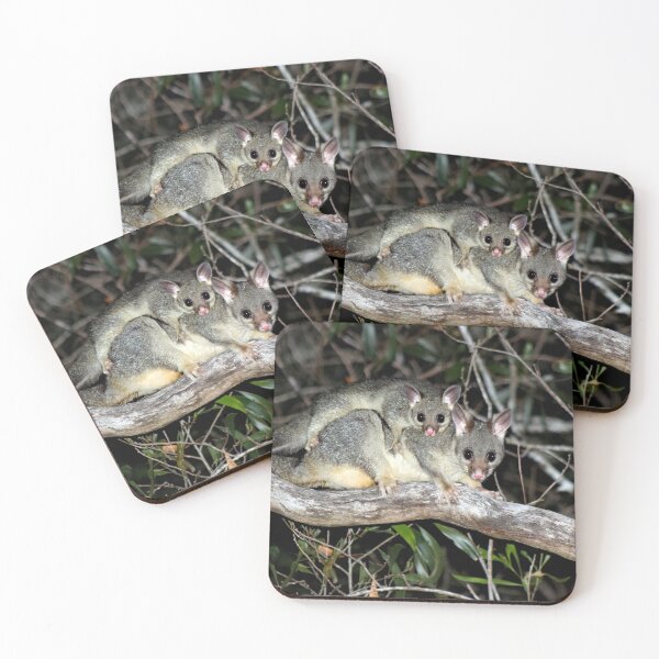 Item preview, © Australian brushtail possums designed and sold by GeoPipics.