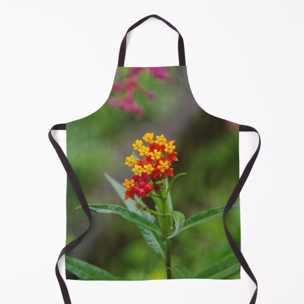 Item preview, Tropical Milkweed (Asclepias curassavica) at Tabandan, Bali, Indonesia designed and sold by The Botanical Jason.