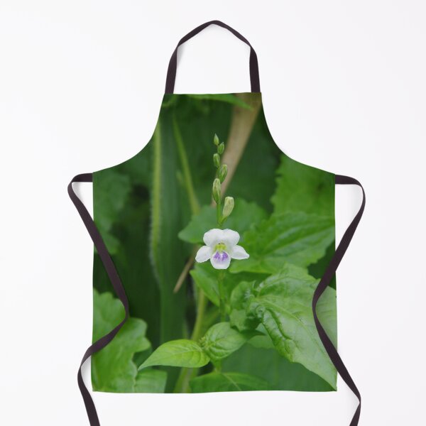 Item preview, African Coromandel (Asystasia intrusa) growing at the Taman Beji Waterfall designed and sold by The Botanical Jason.