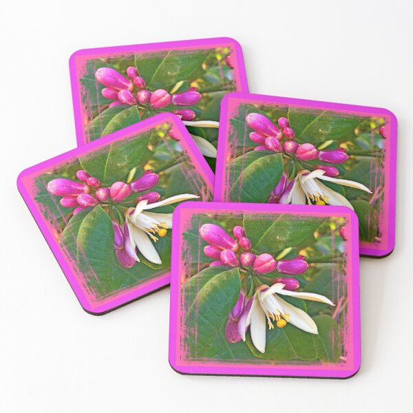 Item preview, Close- up of the lemon tree blossom by Iritof designed and sold by iritof.