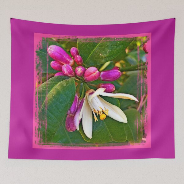 Item preview, Close- up of the lemon tree blossom by Iritof designed and sold by iritof.