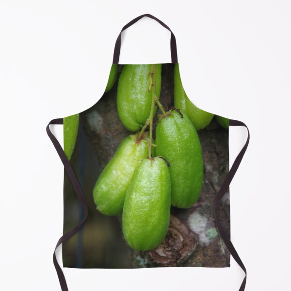 Item preview, Bilimbi (Averrhoa bilimbi) fruits in Ubud, Bali Indonesia designed and sold by The Botanical Jason.