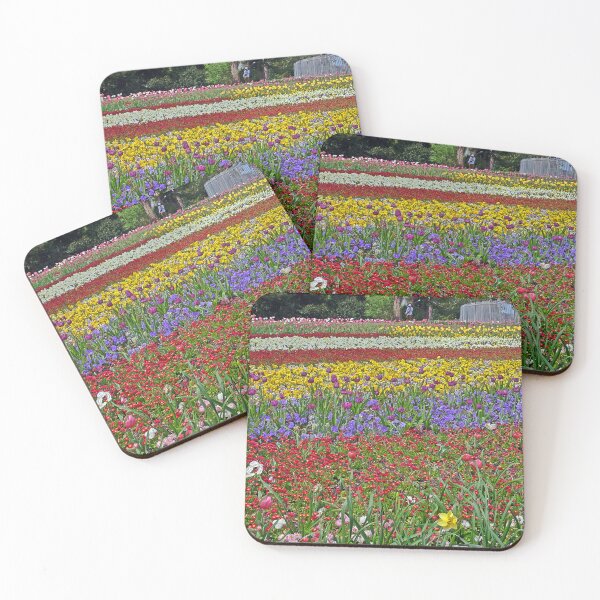 Item preview, The Flower Photographer designed and sold by Paul Gilbert.
