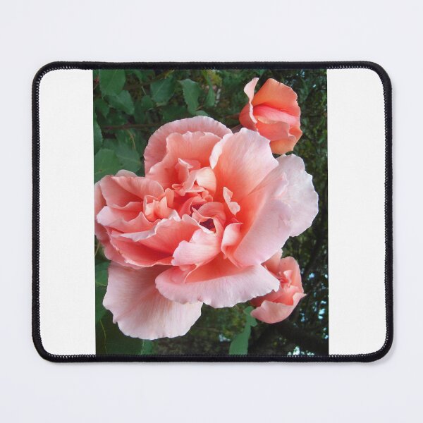 Item preview, Apricot Rose designed and sold by JuliaWright.