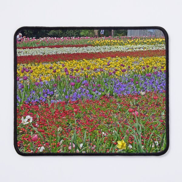 Item preview, The Flower Photographer designed and sold by Paul Gilbert.