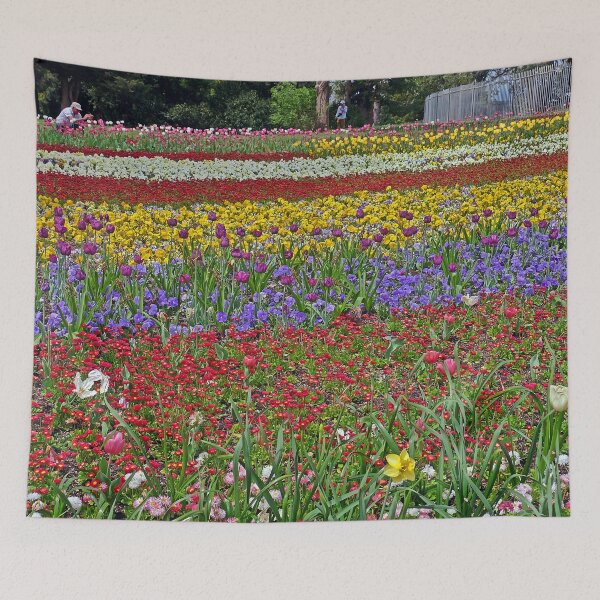 Item preview, The Flower Photographer designed and sold by Paul Gilbert.