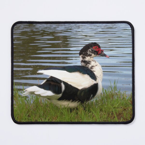 Item preview, Duck by the River designed and sold by JuliaWright.