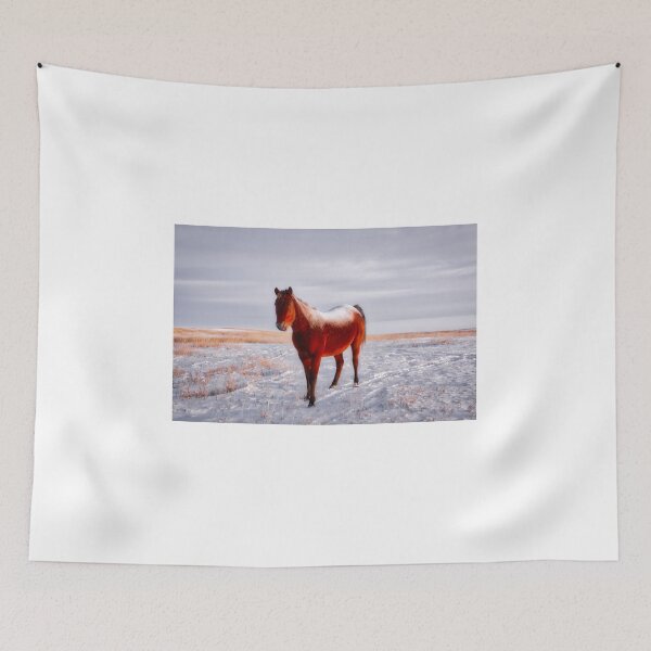 Item preview, Frosty Morning Mare designed and sold by colorfulbundles.