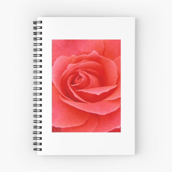 Item preview, Pink Rose designed and sold by JuliaWright.