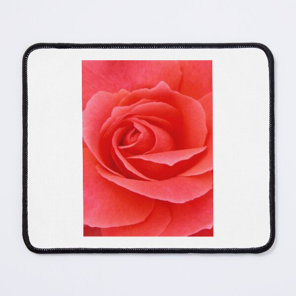 Item preview, Pink Rose designed and sold by JuliaWright.