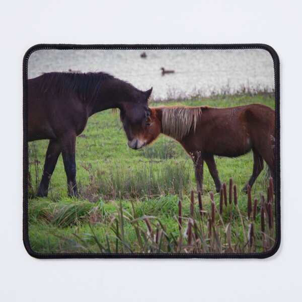 Item preview, Ponis salvajes en el pantano designed and sold by StelleryART.