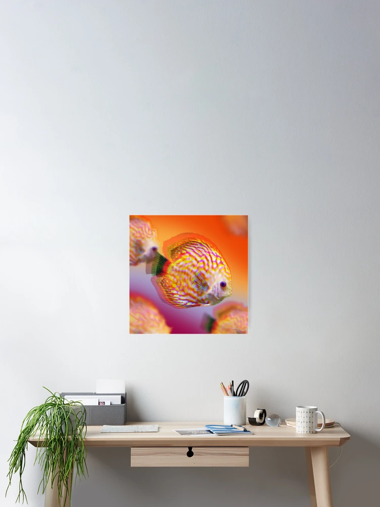 Thumbnail 2 of 3, Poster, Wavy Discus Fish designed and sold by RiceArtShop.