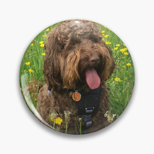 Item preview, Cockapoo sitting in Summer Buttercup Flowers designed and sold by LearsInteriors.