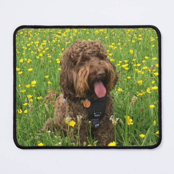 Item preview, Cockapoo sitting in Summer Buttercup Flowers designed and sold by LearsInteriors.