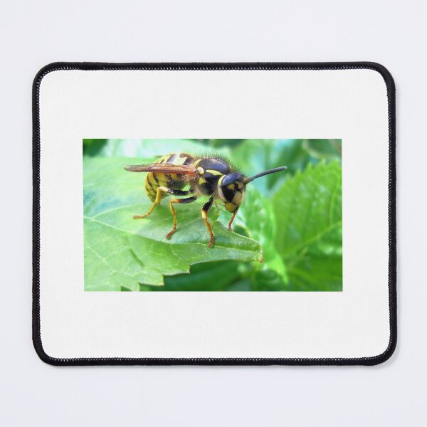 Item preview, Yellow Jacket Wasp designed and sold by JuliaWright.
