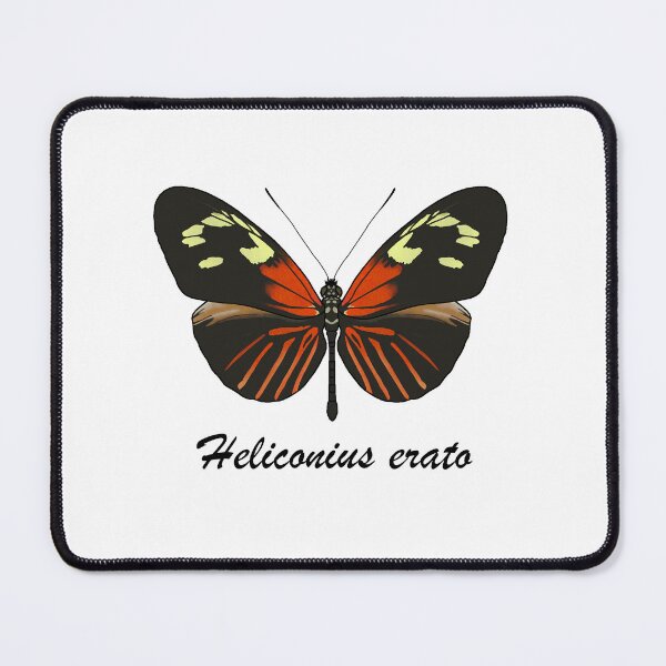 Item preview, Heliconius erato designed and sold by Cendino.
