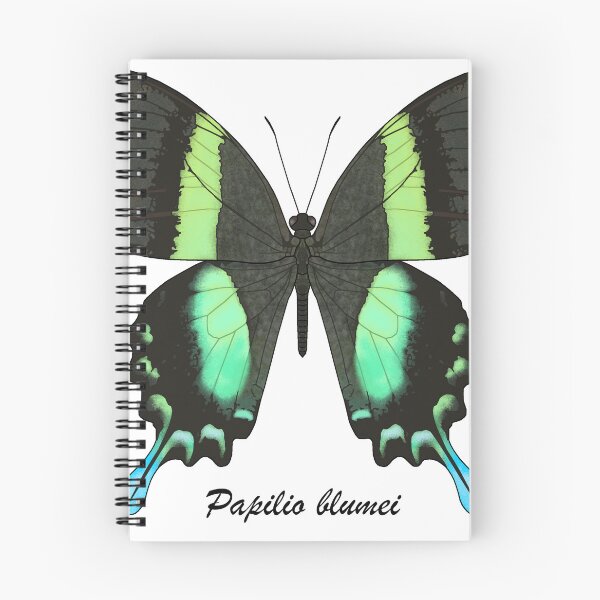 Item preview, Papilio blumei designed and sold by Cendino.