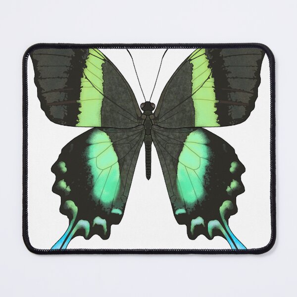 Item preview, Papilio blumei designed and sold by Cendino.