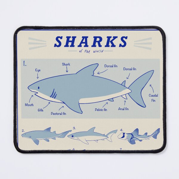 Item preview, Shark poster designed and sold by lunarpigeon.