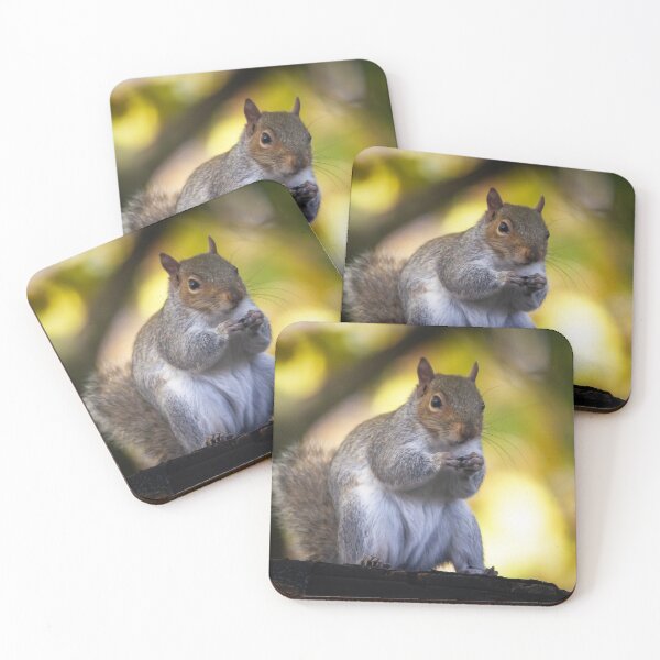Item preview, Squirrel Nutkins designed and sold by StelleryART.