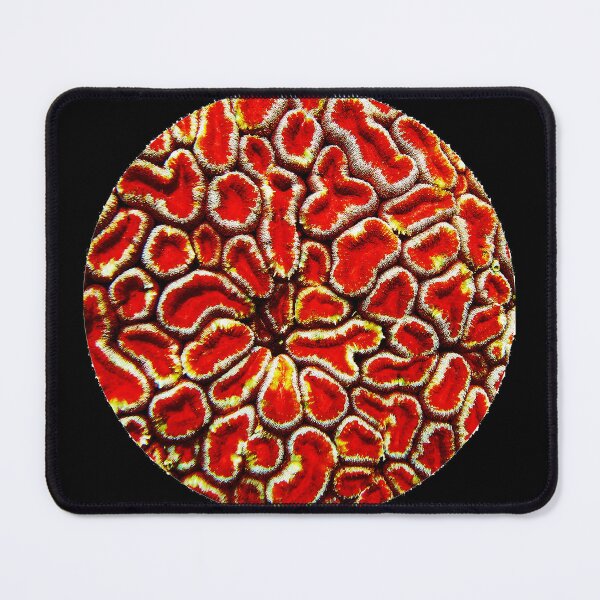 Item preview, Red Coral Maze designed and sold by amosgazit.