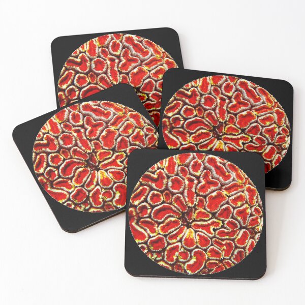 Item preview, Red Coral Maze designed and sold by amosgazit.