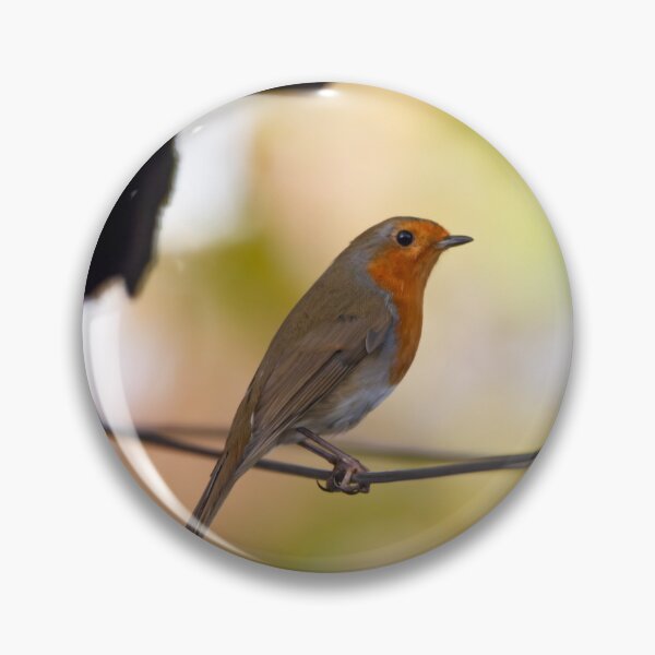 Item preview, Robin on the Washing Line designed and sold by StelleryART.