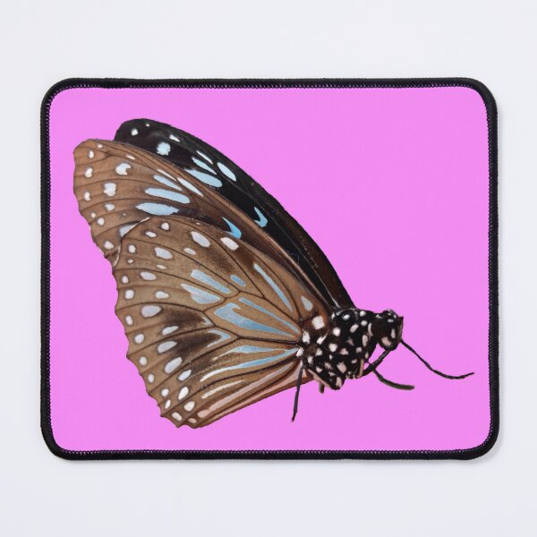 Item preview, A beautiful butterfly designed and sold by QueenOfCorn.