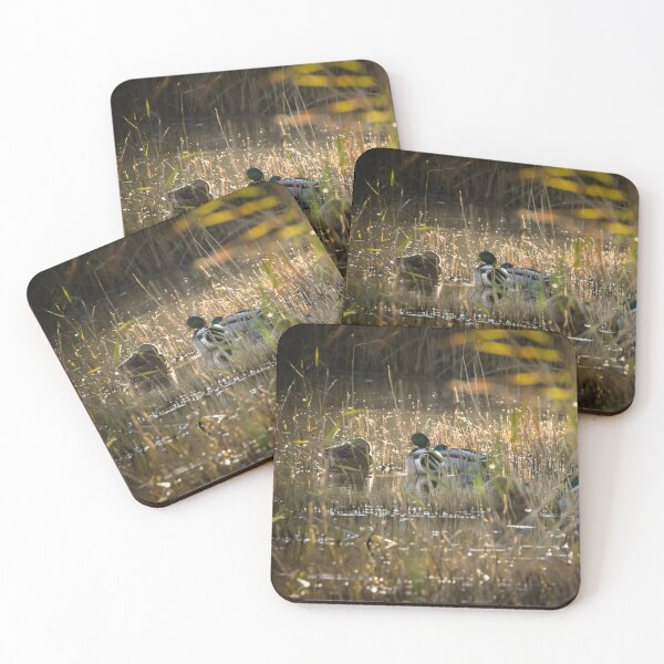 Item preview, Ducks in the reeds designed and sold by StelleryART.