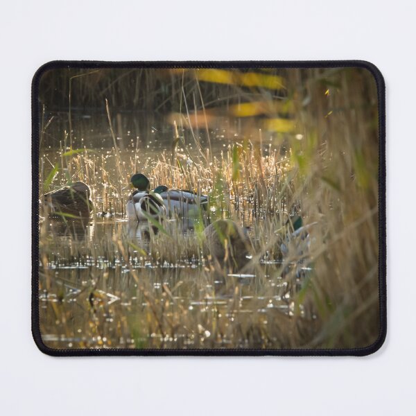 Item preview, Ducks in the reeds designed and sold by StelleryART.