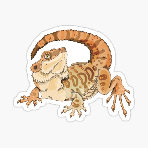 Bearded Dragon Sticker Sticker