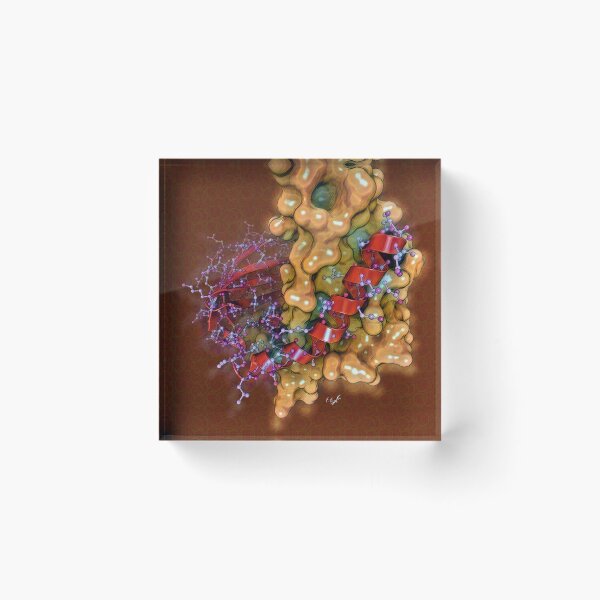 Item preview, Domain swapping protein designed and sold by Francisco J. Enguita.