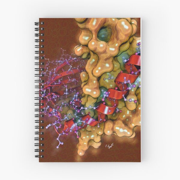 Item preview, Domain swapping protein designed and sold by Francisco J. Enguita.