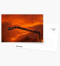 Enjoying The Sunset Postcards