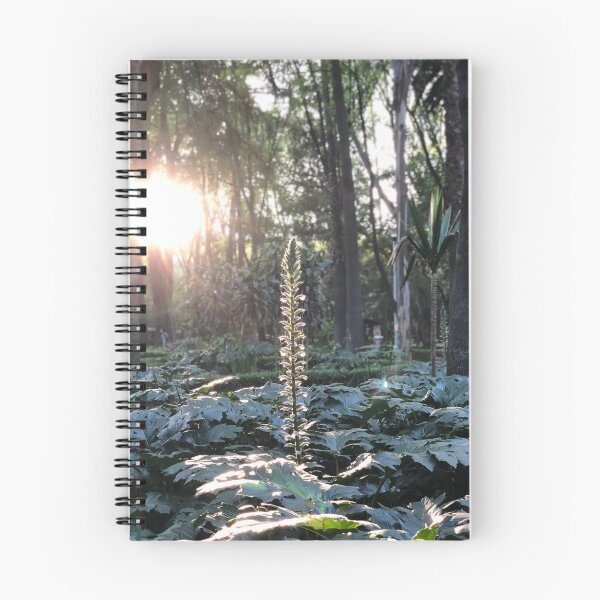 Item preview, Parque México designed and sold by MirStation-72.
